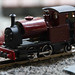 Thomas Bachman Photo 20