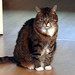 Millie Livingston Photo 7
