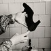 Sue Boven Photo 5