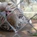 Karl Mitchell Photo 12