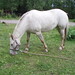 Tammy Meadows Photo 20