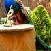 Margaret Peacock Photo 23