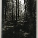 Martha Haskell Photo 9