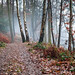 Jason Birch Photo 28