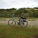 Richard Fons Photo 7