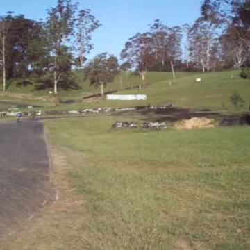 Steven Piggott Photo 14