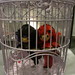 James Heinze Photo 10