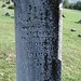Jane Dockery Photo 9
