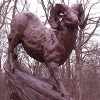 Debra Mosley Photo 22