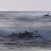 Fred Kelp Photo 10