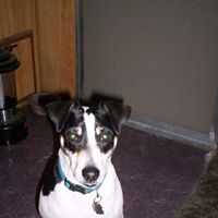 Sheila Kenny Photo 6