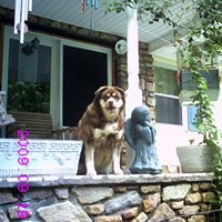 Patricia Poole Photo 18