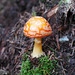 Jeffrey Wheeler Photo 27