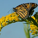 Steven Hamby Photo 10
