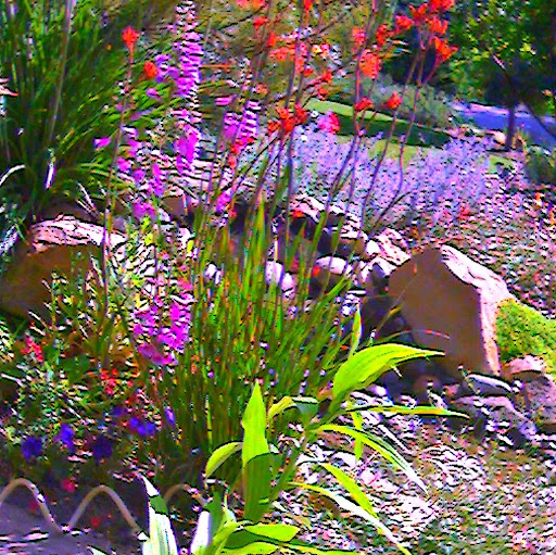 Michelle Caudill Photo 14
