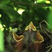 Robin Harter Photo 9