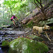 Colleen Speed Photo 7