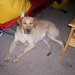 Flossie Foster Photo 2