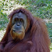 James Carel Photo 7