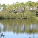 Howard Albright Photo 8