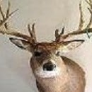 Bruce Tuttle Photo 24