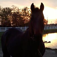 Jill Thacker Photo 6