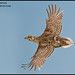 Glenn Sharp Photo 32