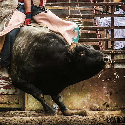 Les Carr Photo 25