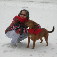 Janice Phillips Photo 15