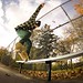 Nicky Young Photo 7