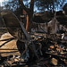 Barbara Burns Photo 47