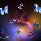 Kimberly Kirk Photo 44