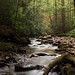 Cliff Dodd Photo 4