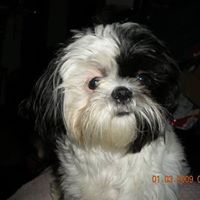 Vicki Tabor Photo 8