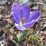 Heather Chartier Photo 6