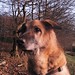 Karl Herbst Photo 6