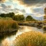 Ken Johnson Photo 9
