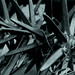Marcie Sharp Photo 1