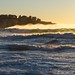Dawn Ward Photo 19