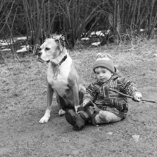 Lisa O'Neill Photo 16
