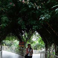 Li Zeng Photo 33