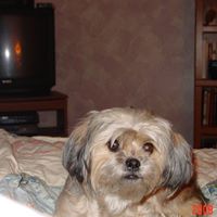 Ginger Mcdonald Photo 26