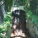 Cary Sharp Photo 13