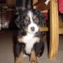 Denise Haller Photo 21