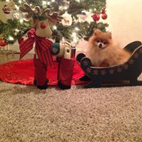 Terri Wickham Photo 8