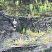 John Vanvleet Photo 3