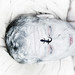 Jason Nace Photo 15