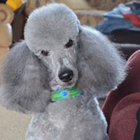 Connie Hutchins Photo 9