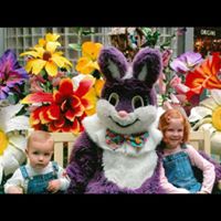 Donna Painter Photo 16