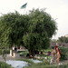 Hasan Tahir Photo 33
